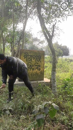 রোড কিলোমিটার এর অবস্থা। #Signalboost #roadtrip #SIGNAL #vairalpost #দ্বীপজ্বালো #রাস্তা #রোড