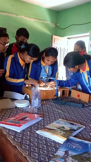 Learning with the Seed Purity Board.. Separating inert materials and unwanted seeds to test seed purity..❤️ #trendingsong #foryou #knowledge @bhaskardhami555 @indranagari2000 @Yogesh Bhatta @@Dhami🤝Ashok @•._.• ♛𝕛ᶤтⓔηĎŕ𝔸♛ •._.• @Shovansir95 @TWINKLE✨