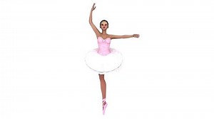 Ballet Dancer Twirling Animation Stock Footage Video (100% Royalty-free) 9112556 | Shutterstock