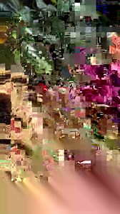 30K views · 456 reactions | Homemade Fig Newtons | Crowded Kitchen | Facebook