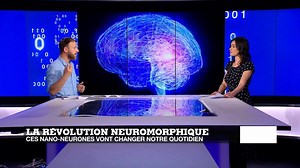 Nano-neurones, maxi effets !