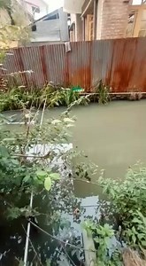 #Humble #Request to #srinager #SMC please look to the matter. there is chances of spreading diseases. even the bad smell of this drainage gives sleepless nights to the locality Sikh bagh lalbazar Text from local public Bhai hum sikh bagh lalbazar say hai #Junaid #Azim #Mattu | Aawaz e kashmir | Facebook