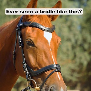 1.4K views | Meet the most holistic anatomical bridle available. Try...