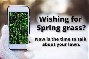 11 shares | Don't just wish for a lush lawn this spring. Get a better lawn with the professionals at Lawn Doctor. Contact us today to learn about our lawn care services! | Lawn Doctor | Facebook