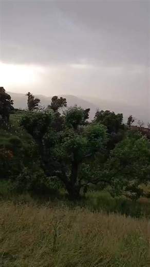 Vidéos de Pétri Chor (@ptri.chor) avec son original - Fatiha Ch