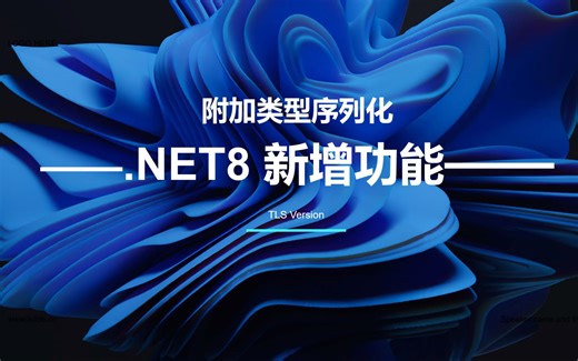 【.NET8 新增内容】附加类型序列化