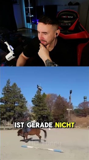 Pferd aufeinmal 6 Beine #horse #mioroya #fyp