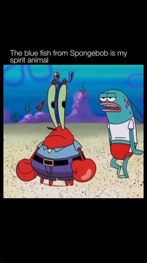 WASTED on Instagram: "😂 *SpongeBob SquarePants* is an animated television series that premiered in 1999 and takes place in the underwater city of Bikini Bottom. The show follows SpongeBob, an overly enthusiastic and optimistic sea sponge who works as a fry cook at the Krusty Krab. Alongside his grumpy neighbor Squidward, best friend Patrick Star, and money-loving boss Mr. Krabs, SpongeBob gets into humorous and often absurd situations that highlight his childlike innocence and unwavering positi