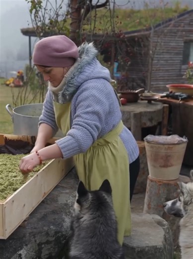 Cook with Me: Delicious Cookies Inspired by Villagers