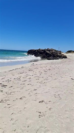 #australiasburpqueen #fyp #foryoupage #beach #australia