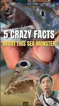 Cutlassfish: 5 Insane Facts About This Silver Sea Monster! 😱🔥
