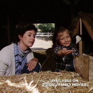 It’s always the season to be thankful. Watch “The Thanksgiving Promise” on Disney Family Movies. What’s a baby goose called? | Disney Family Movies