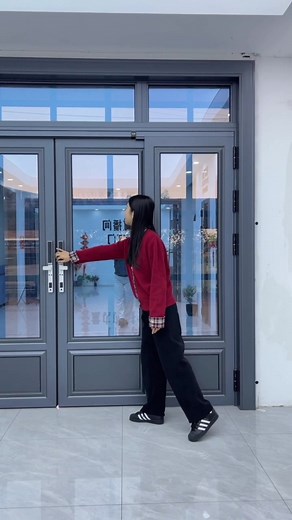 Space-Saving Modern Aluminum Glass Doors
