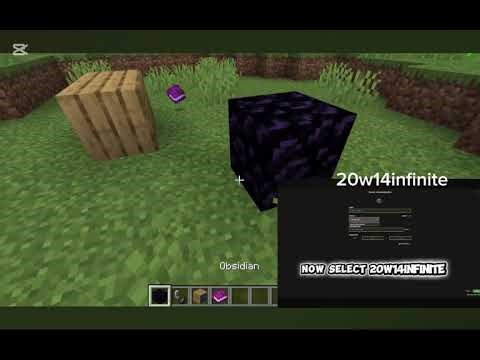 I tried the infinite portals version (it is called 20w14infinite)