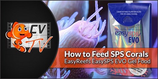 Easyreefs new EasySPS EVO Gel food packs connect to your doser for easy automated feeding! Best of all, there is no food prep and you don't have to keep it in the fridge. GET SOME 🐠 https://mailchi.mp/coralvue/easyreefs-easysps-evo-coral-food-video | CoralVue