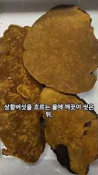 상황버섯 효능이놀랍다.#상황버섯 #자연산버섯#건강정보#면역력강화#간건강#혈압조절#항암음식#약용버섯#웰빙생활#상황버섯복용법#건강차#버섯가루#웰빙버섯#버섯효능