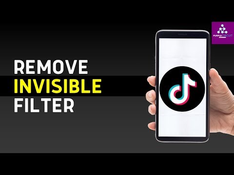 How to Remove the Invisible Filter on TikTok