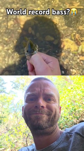 world record fish largest bass in world