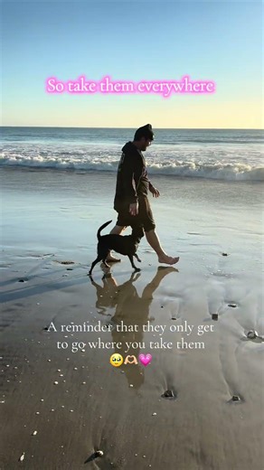 My buddy 🐾♾️ #dogmom #girlssupportgirls #dayinmylife #dogsofyoutube