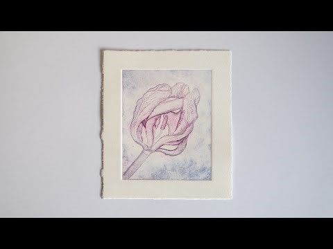 Tulip - My intaglio printing process start to finish #art #printmaking #intaglio