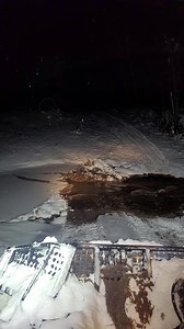 27K views · 283 reactions | First trail report from groomer Mikey...