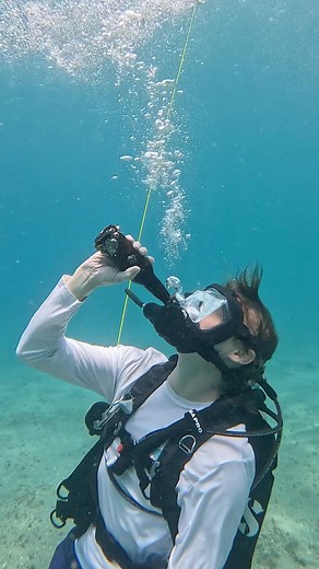 50K views · 1K reactions | We all need scuba diving right now more than ever 錄律‍♀️ #scubadiving #scubalove #divetravel #digitaldetox #asmr #sweetwaterscuba | Kenny Dyal | Facebook