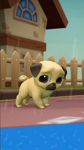 Can You Resist Adopting This Virtual Pug? #louiethepug #puglife #cutepuppy #cutedog