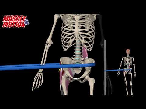 Hip Hike Exercise, Strength Training, Knee Pain