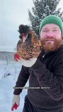 Crossbreeding experiments