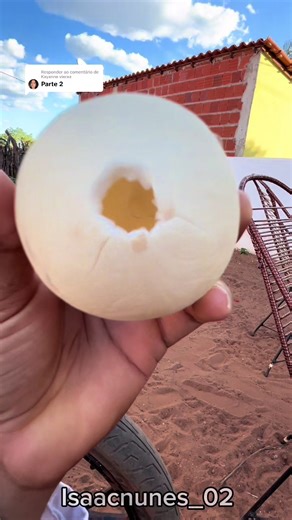 Como descascar coco perfeitamente: Dicas e truques