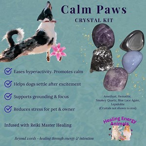 Calm Paws Pet Holistic Healing Crystal Set - Etsy Canada