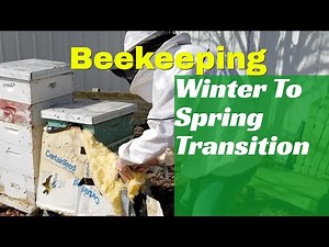 Beekeeping | Winter To Spring Transition | Capture The Spring Honey Flow