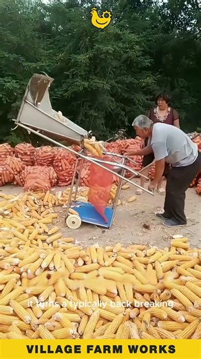 Genius Farmer Builds 🌽 An Epic Bagging Tool! #CornHarvest