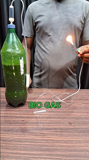 Making biogas from cow dung #Fire_lab