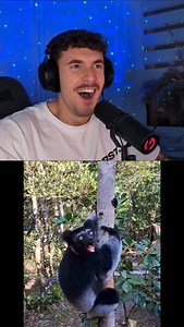 The craziest animal sounds 😳 #beatbox #viral #funny | Domenic Afaneh