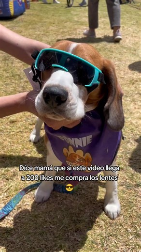 Bonnie Taylor Chacón on TikTok