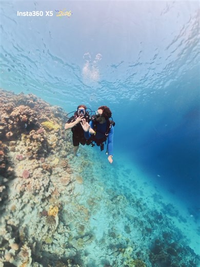 Exploring the Underwater World of the Red Sea