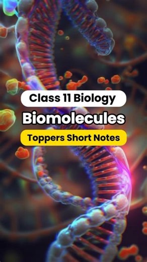 Exambat Neet - The Quality Learning on Instagram: "Class 11 biology “Biomolecules” Neet Biology🩺Topper's Short Notes PDF(Link In Bio) . . . #biology #biologynotes #neetug #neetbiology #neetprep #neetpg #neetugpreparation #neet2024 #neet2025 #neetexam #neetstudymaterial #aiimsdelhi #futuredoctor #study #explore"
