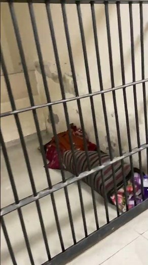 This is what a police thana in Delhi looks like! 🚔🇮🇳 | Inside View of Law & Order in Action