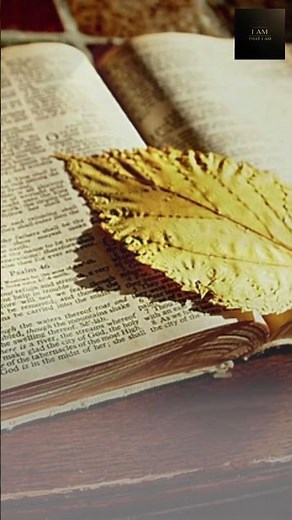 Why the Bible is important for human life