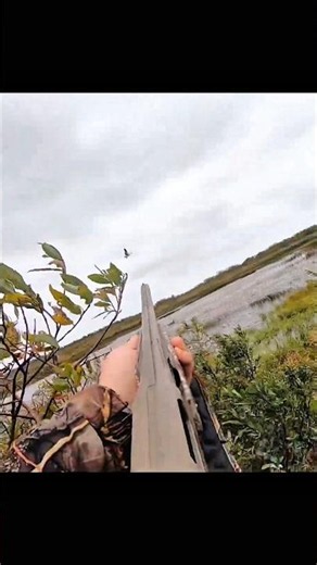 Viral Duck Hunting Short | Perfect Accuracy 💥🦆