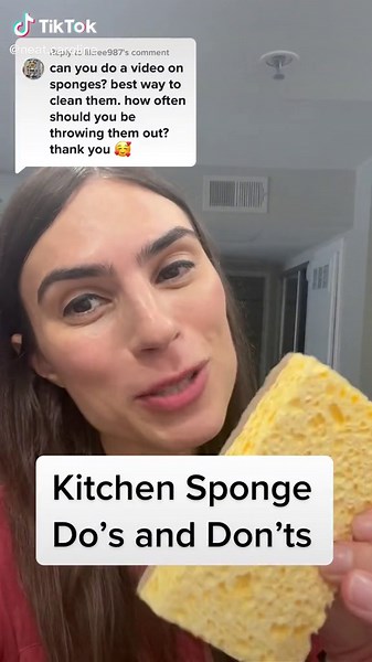 Kitchen Sponge Maintenance: Tips and Tricks for a Clean Home