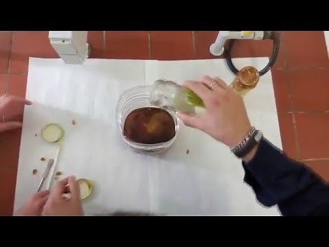 Reacción Poliol e Isocianato 👨‍🔬