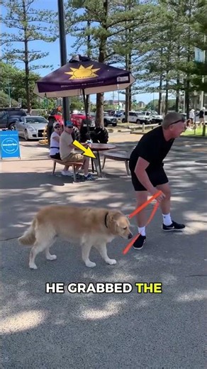 Dog refuses to walk until THIS trick worked! 🤯💛 #cuteanimals #pets #goldenretriever