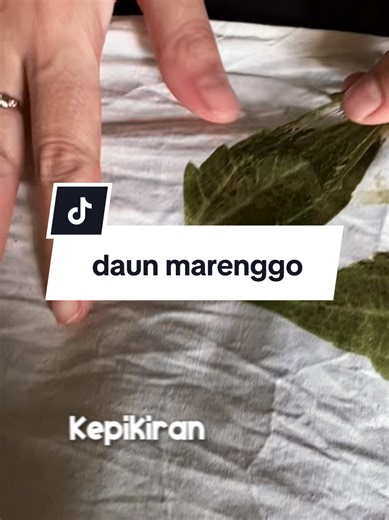 Satu daun, satu pola, satu cerita. Di dunia ecoprint, tidak ada dua helai kain yang benar-benar identik. Daun Marenggo ini kami pilih dan tata dengan presisi untuk menghasilkan koleksi limited edition yang hanya bisa dimiliki oleh mereka yang menghargai ketelitian tangan manusia dan kejujuran alam🌿✨ . . . Pendaftaran pelatihan langsung hubungi salah satu admin dibio . . FYI : tanggal merah dan diluar jam kerja, slow respon🙏 #ecoprint #pelatihanecoprint #workshopecoprint