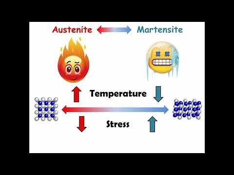 Unique properties of NiTi alloys