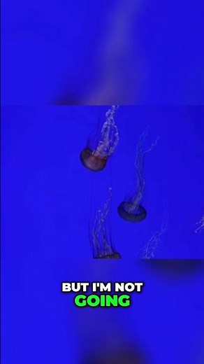 Find Your True Self: The Power of Self-Belonging | Brené Brown