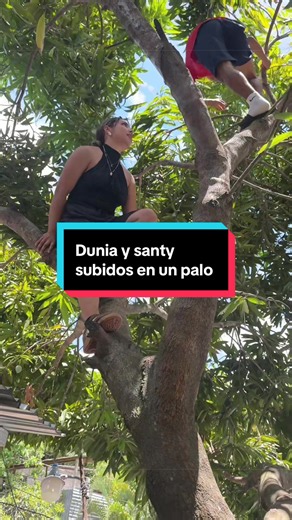 Dunia y Santy subidos en un palo @Santy G🎹🇬🇹💈🚀 | duniasanchez