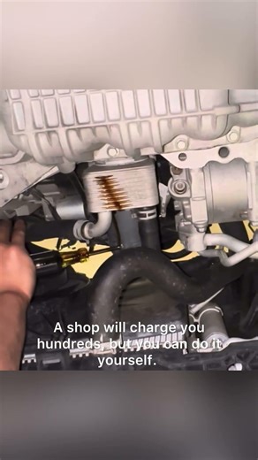 How to remove stuck oil filter 👍🏽 #automobile #auto #howto #diy #viral #shorts #mechanic #hacks