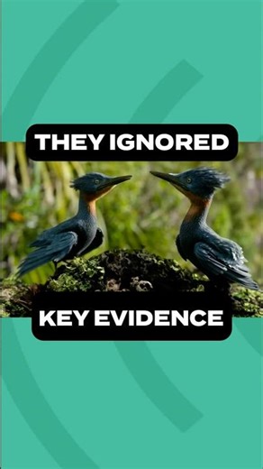They Ignored Key Evidence in Netflix Dino Series